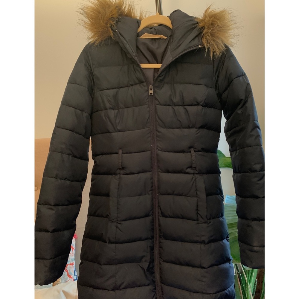 Hollister Down Jacket